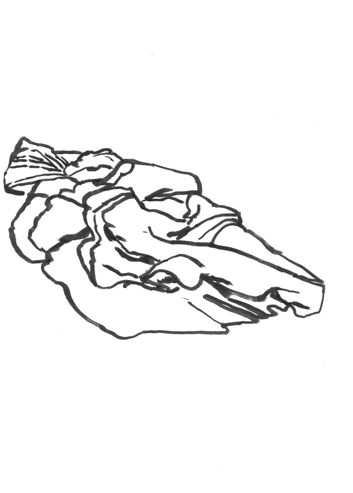 - LA DOUNE - page 29