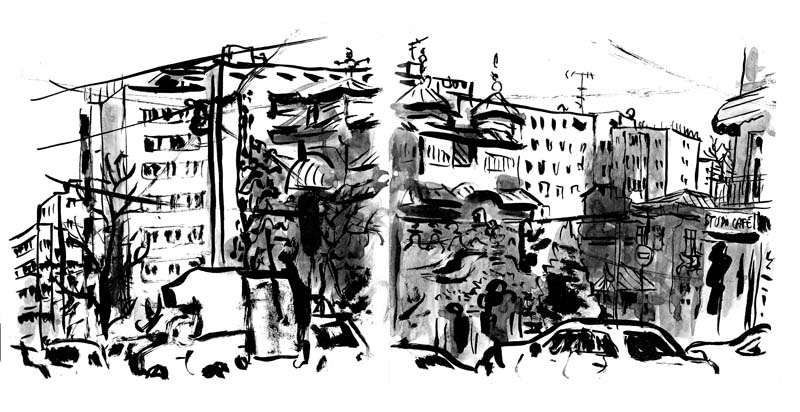 - Roumanie (avant l'Europe)- page 103