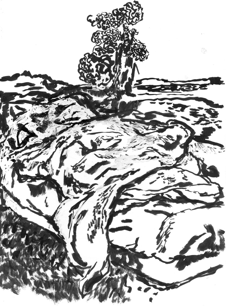 - LA DOUNE - page 36