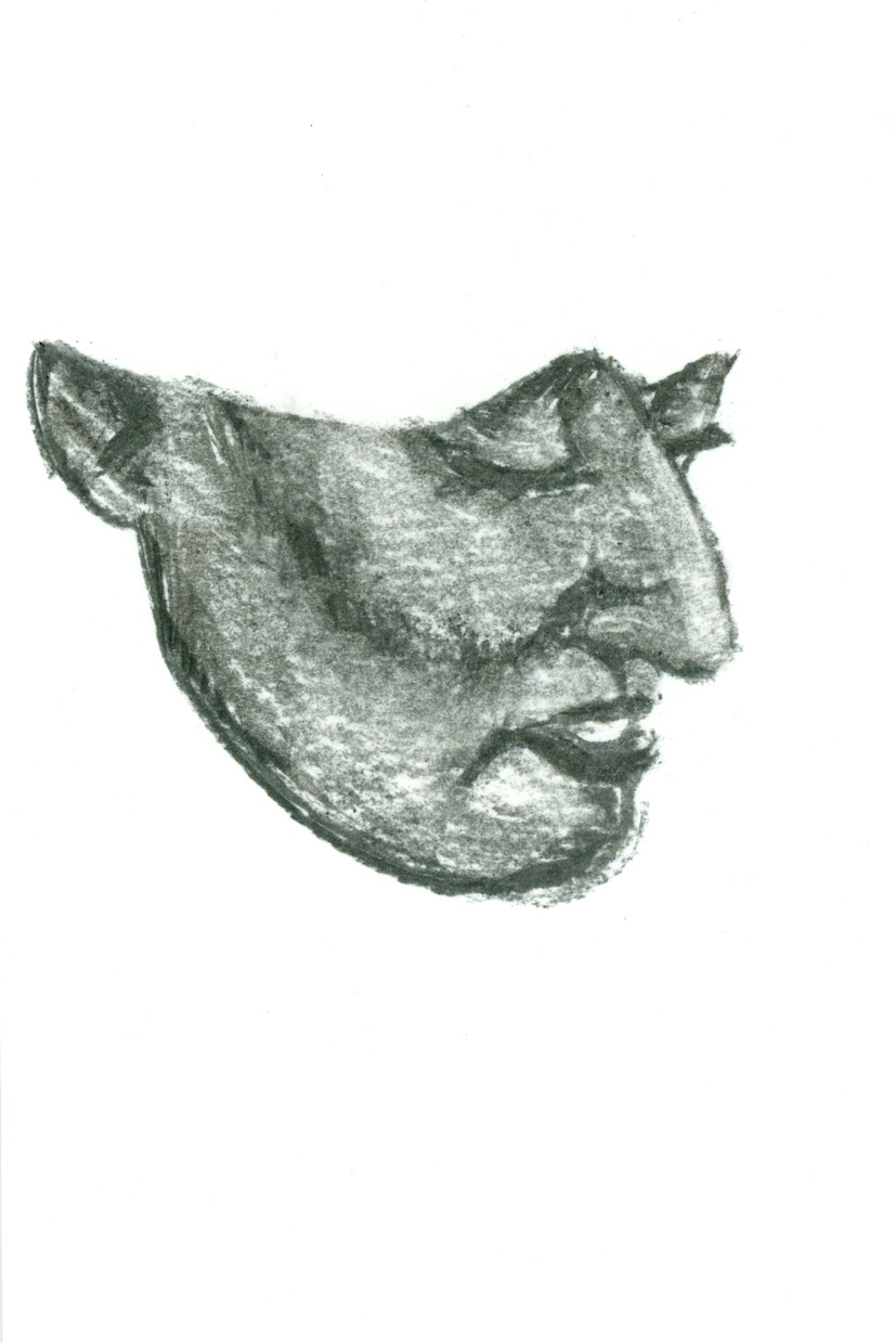 - Chronologie d'un visage- page 6