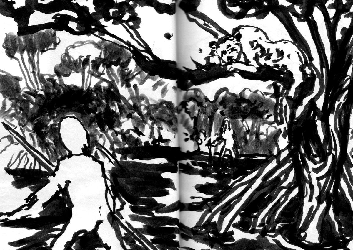 - Visiteurs- page 36