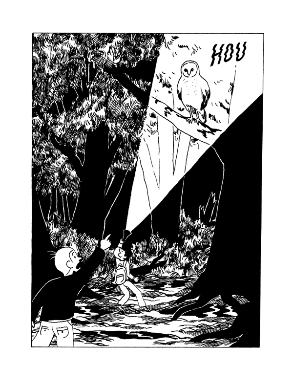 - Les rois des bois- page 31