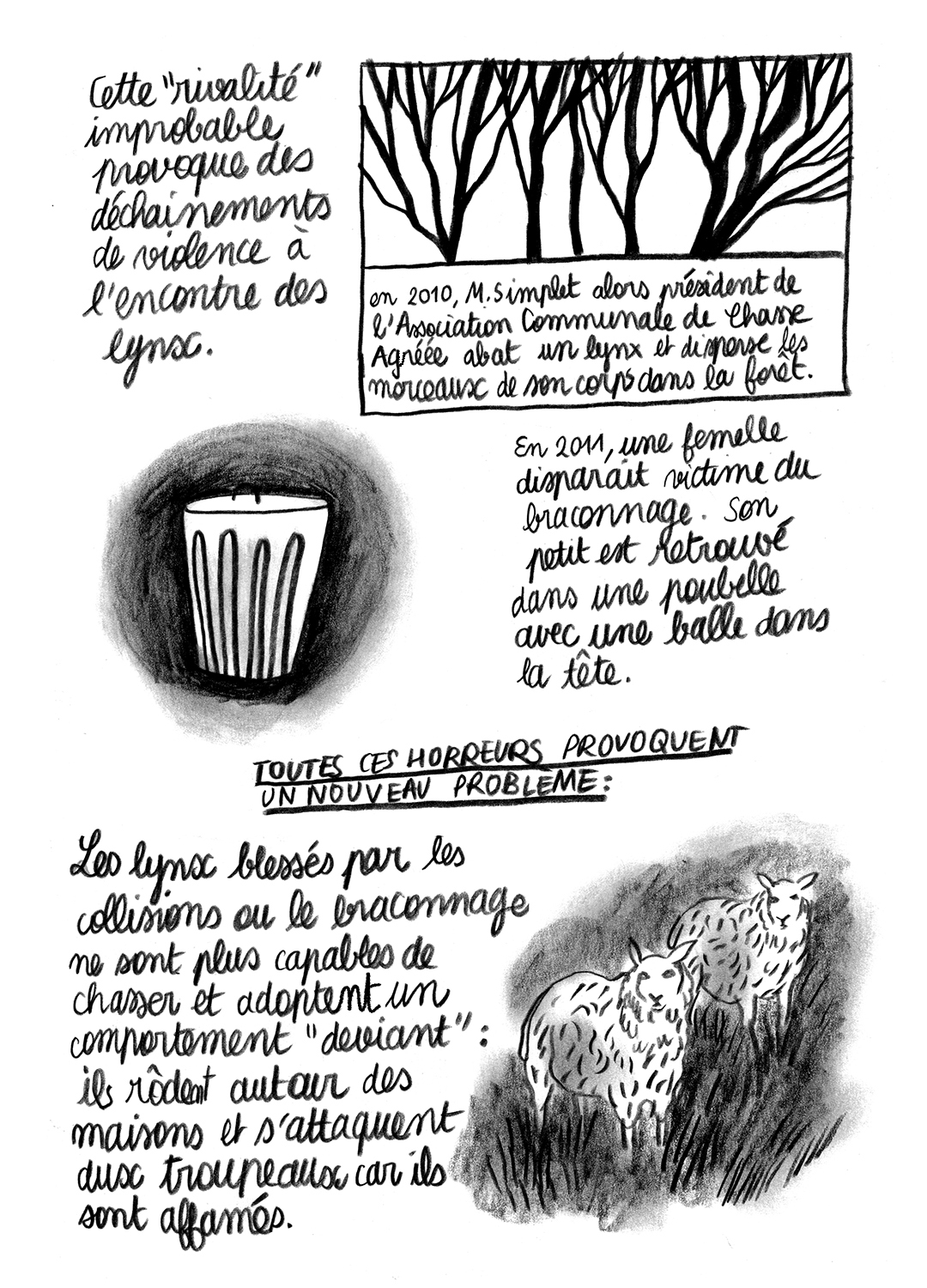 - Lynx en danger- page 9