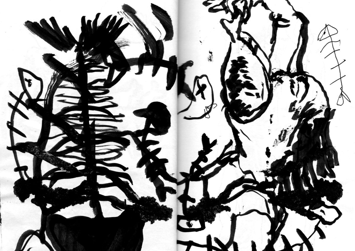 - Visiteurs- page 25