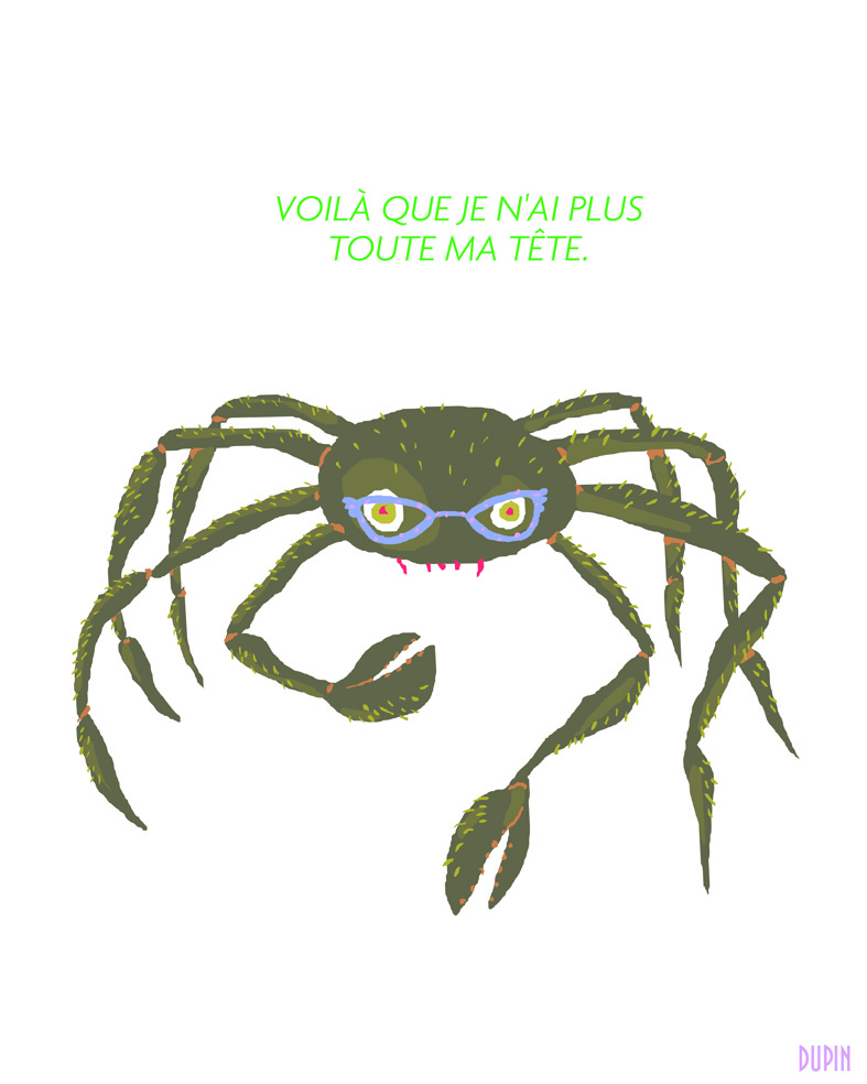 - Les animaux qui portent des lunettes.- page 2