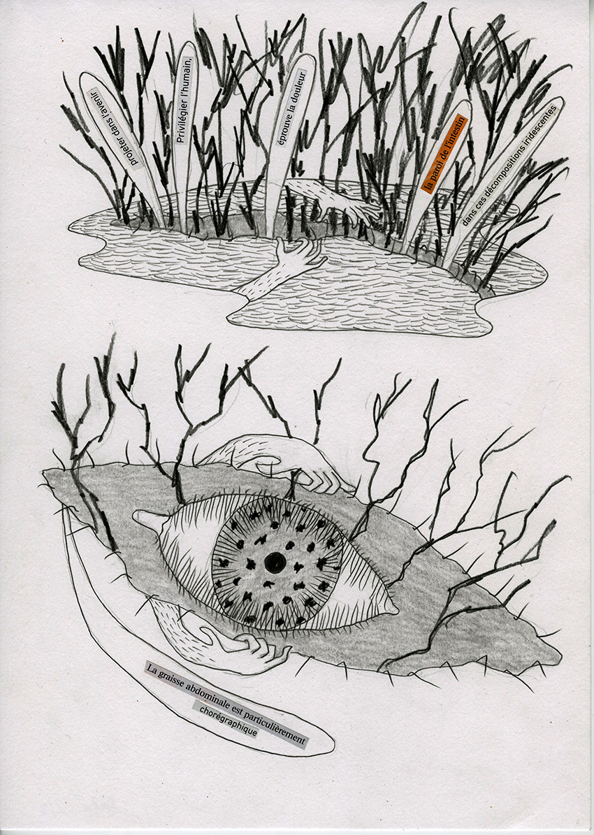 - Les 24 H ChiFouMi, partie 16 de 16- page 19