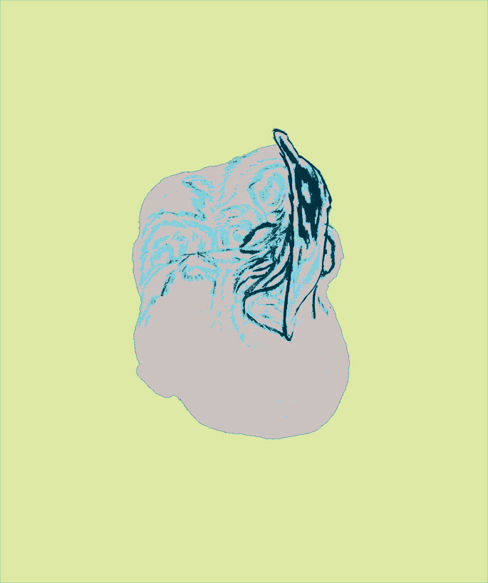 - Pure Guava- page 11