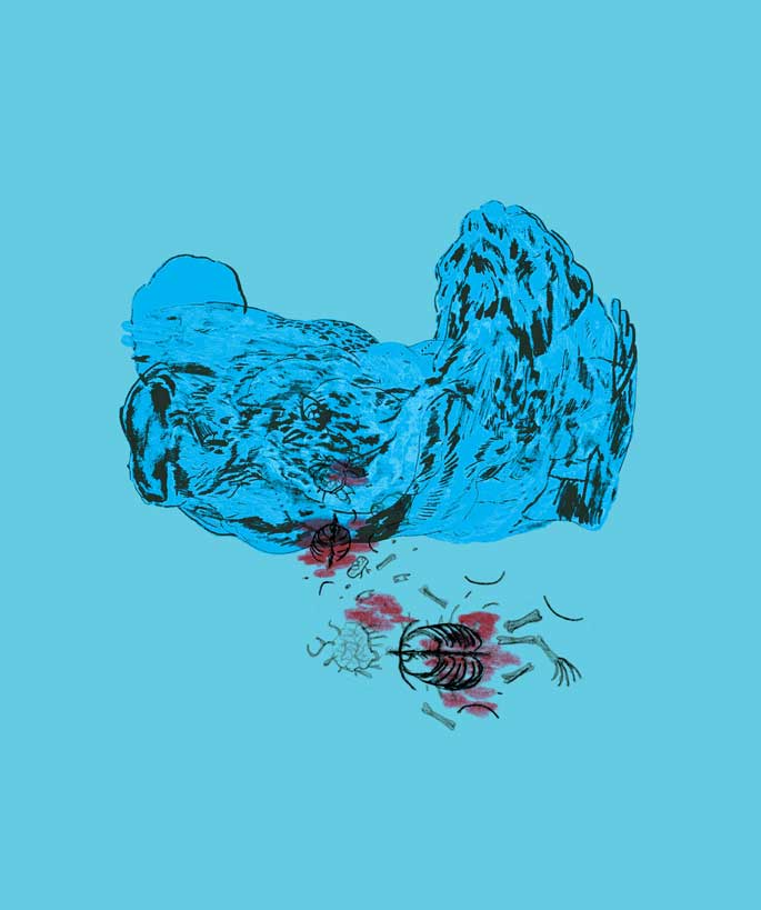 - Pure Guava- page 7