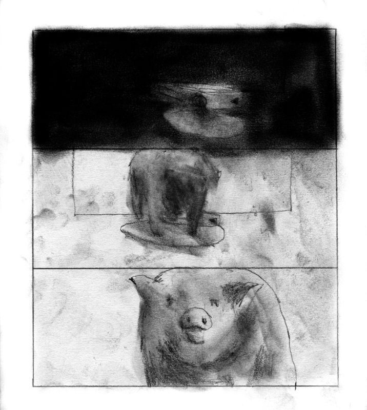 - C'est un canard explosif- page 11