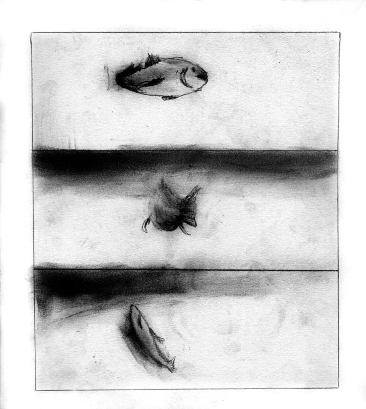 - C'est un canard explosif- page 21