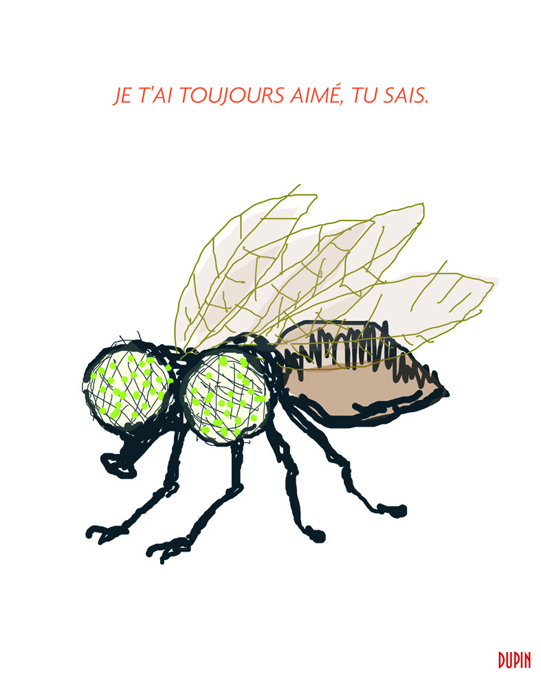 - Les animaux qui portent des lunettes.- page 5