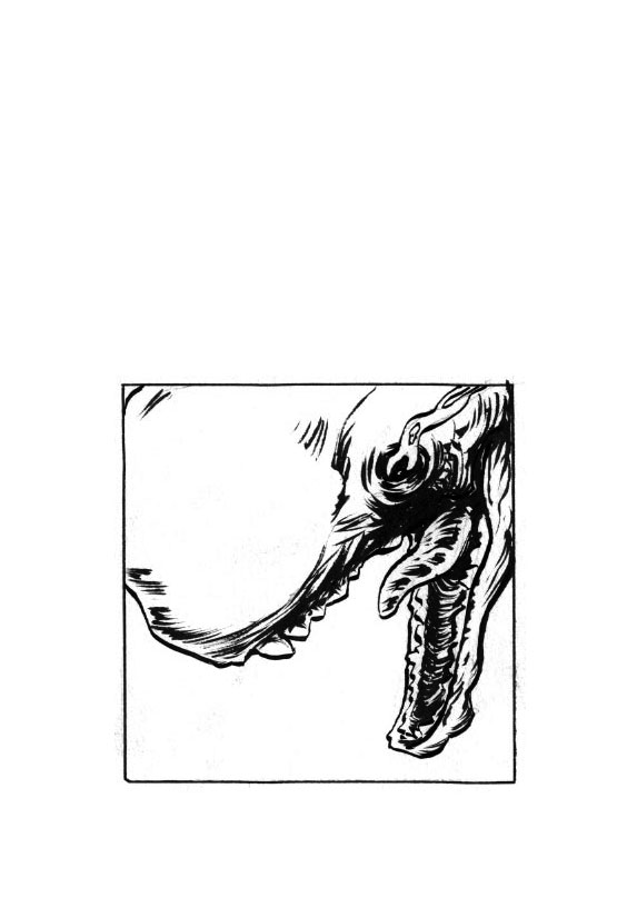 - L'Ile de la Tentation- page 24