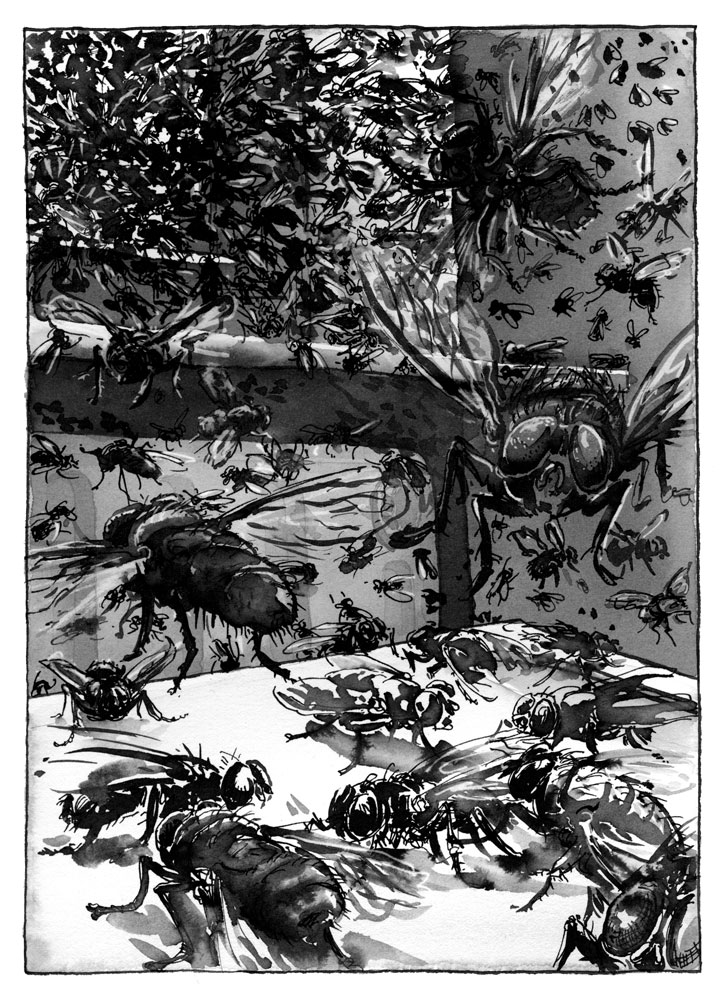 - Fait d'armes- page 4