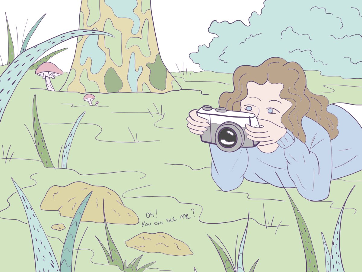 - A hidden world- page 10