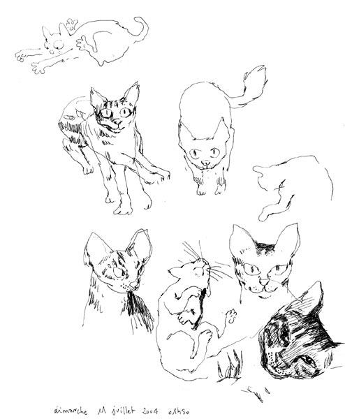 - Les chéries- page 26