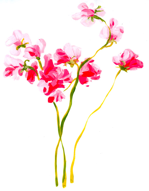 - Les chéries- page 40