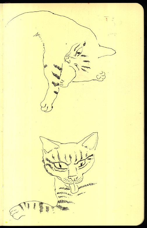 - Le petit Journal- page 8