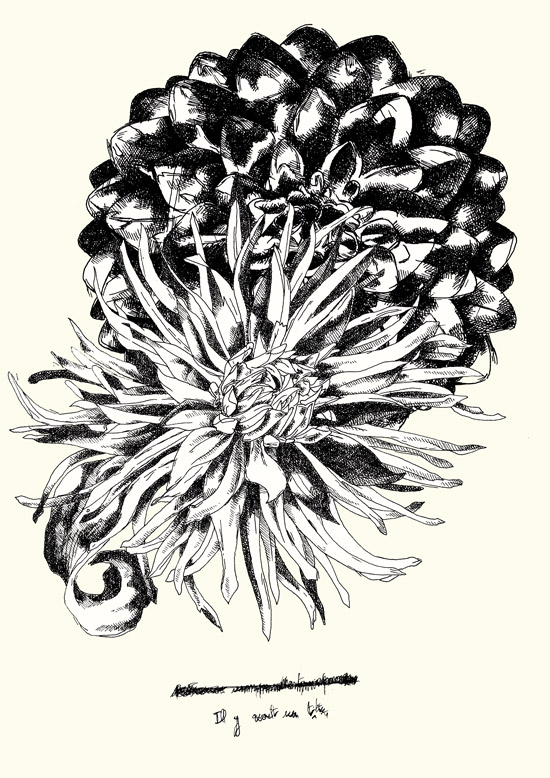 - Discipline- page 14