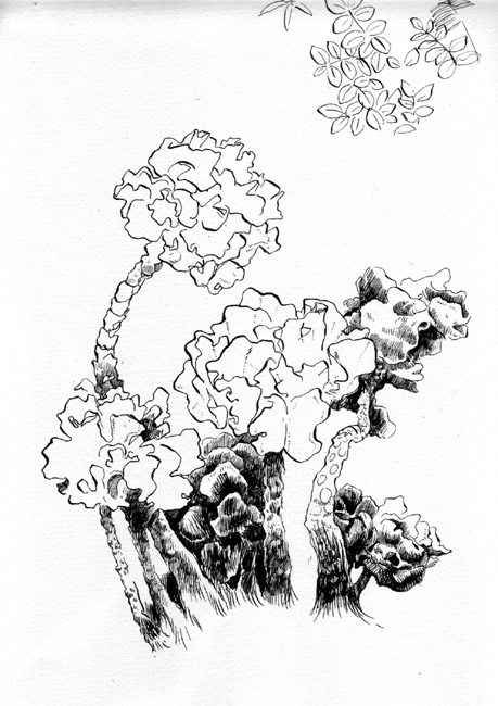 - Journal 2007- page 6