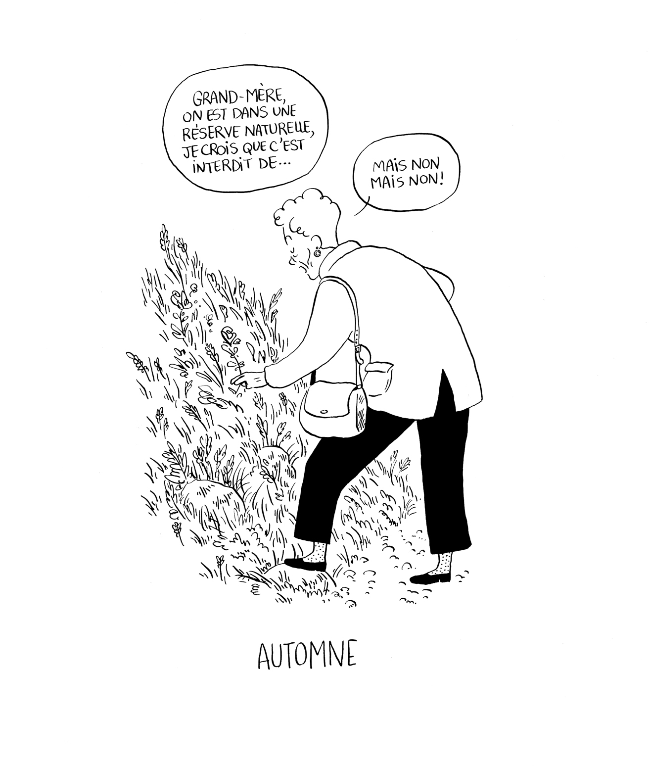 - Brèves anciennes- page 11