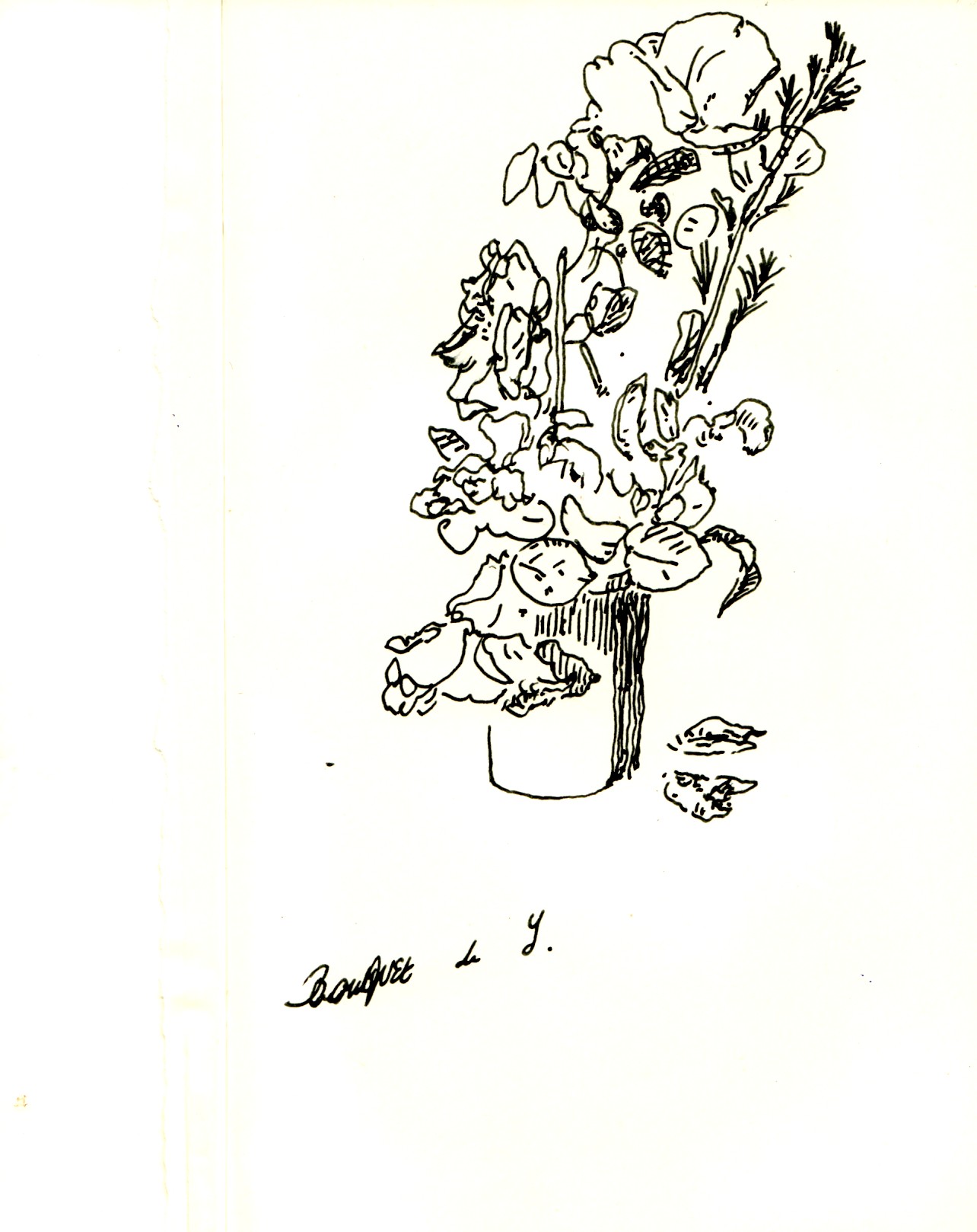 - un poumon, le dessin- page 18