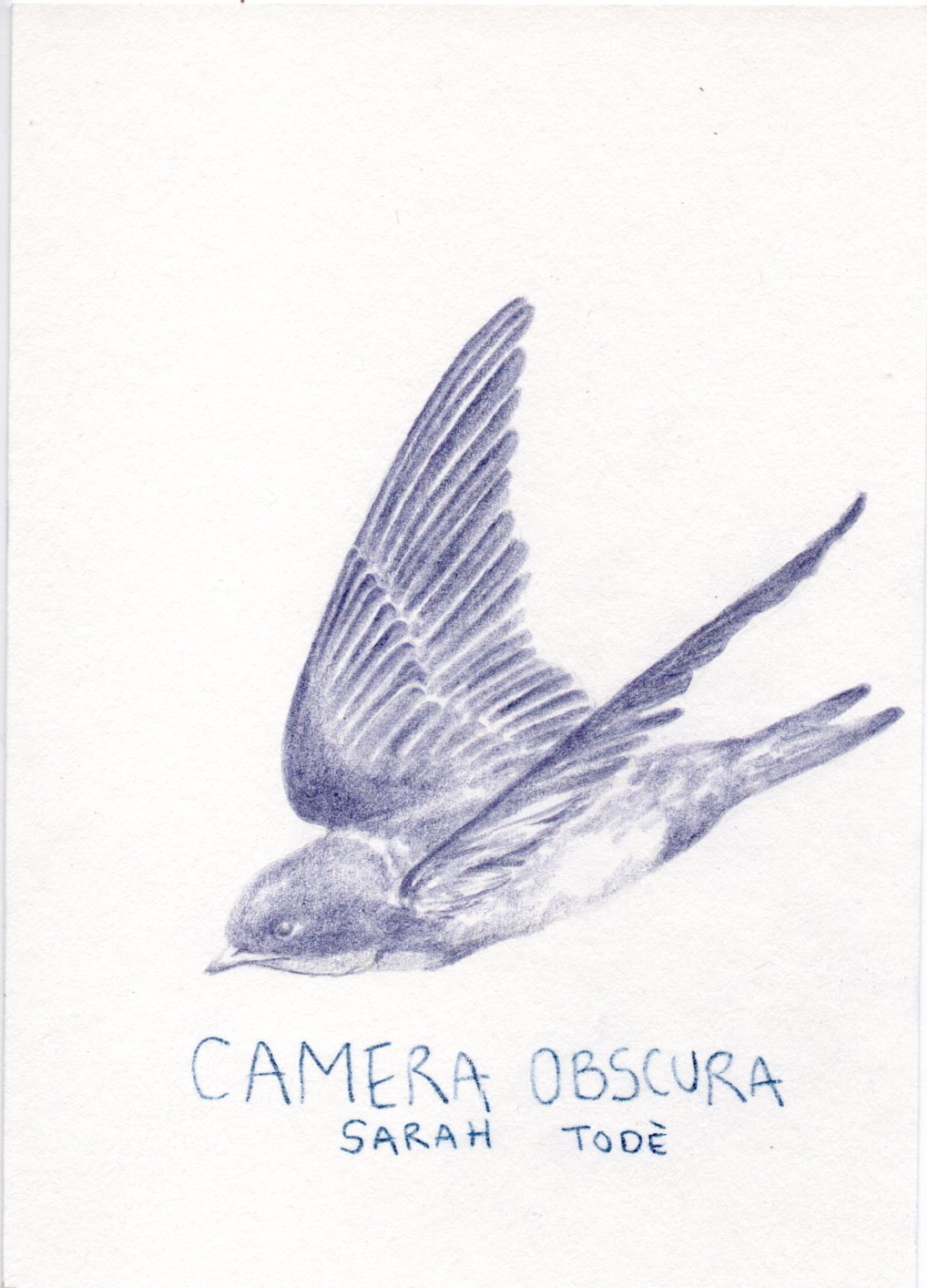 - Camera obscura- page 1