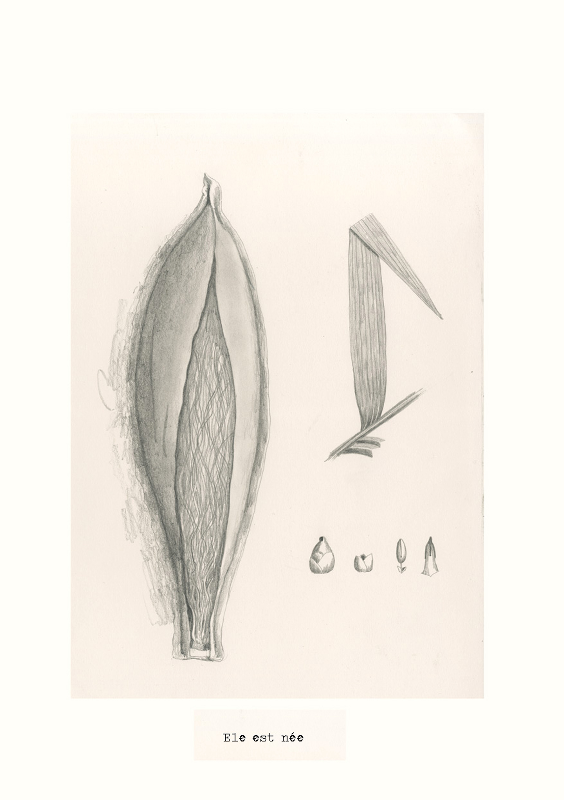 - Cette histoire ne m'appartient pas- page 4