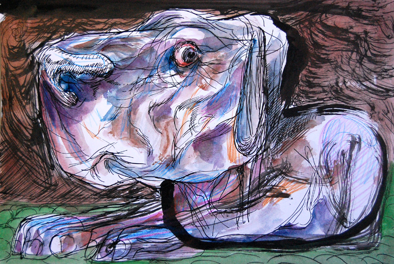 - Créatures- page 13