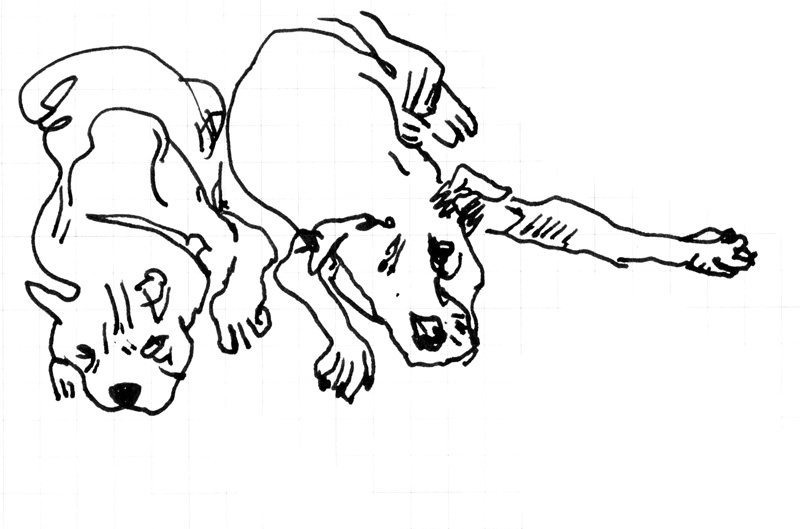 - un poumon, le dessin- page 21