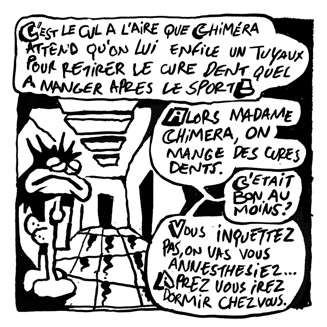 - Chiméra Forme Finale- page 30