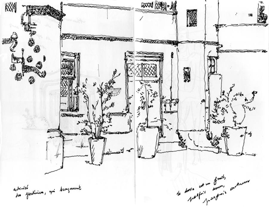 - un poumon, le dessin- page 20