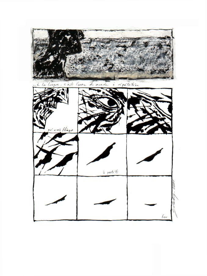 - La muraille d'échine / face a- page 19