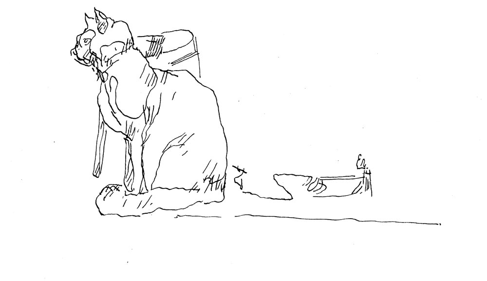 - un poumon, le dessin- page 76