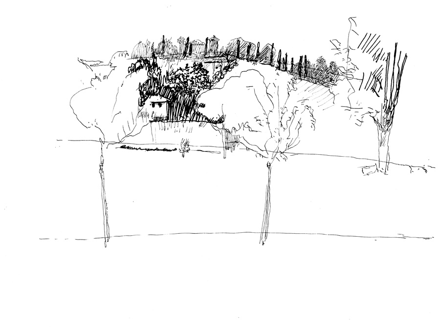 - un poumon, le dessin- page 38