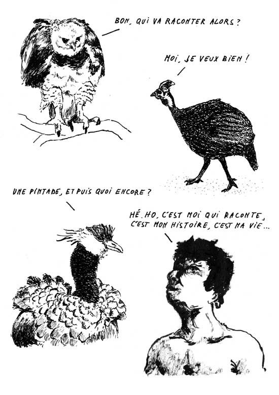 - L'errance du pigeon- page 16