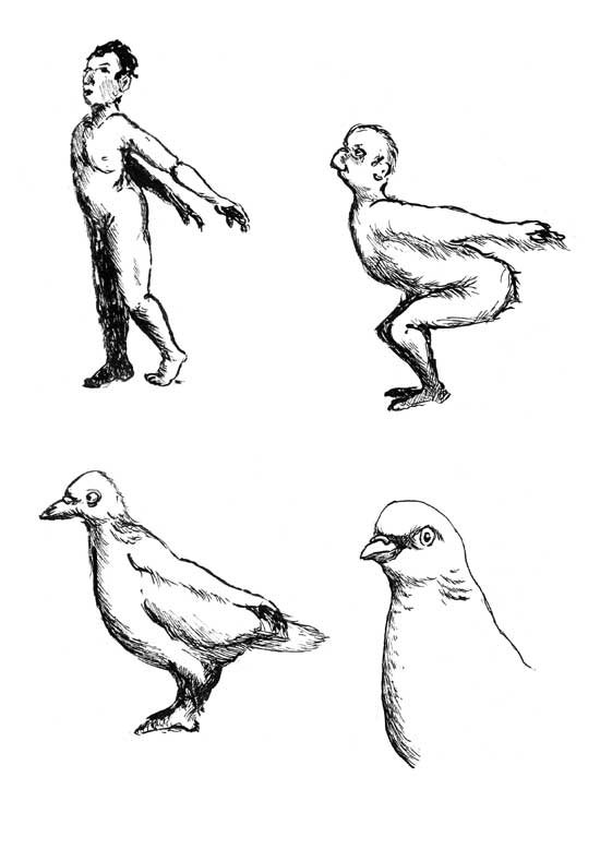 - L'errance du pigeon- page 17