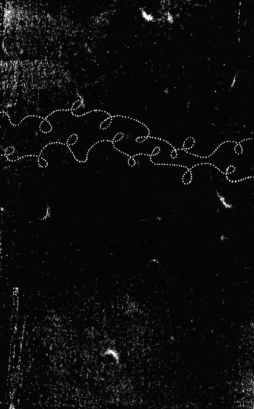 - Jeanne et Véra- page 22