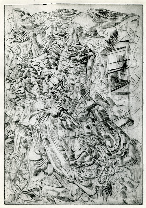 - la cohabitation des oiseaux- page 2