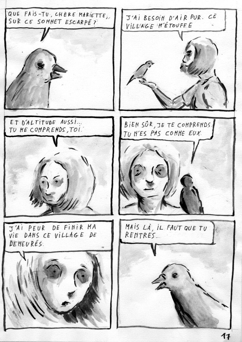 - Le royaume des oiseaux- page 17