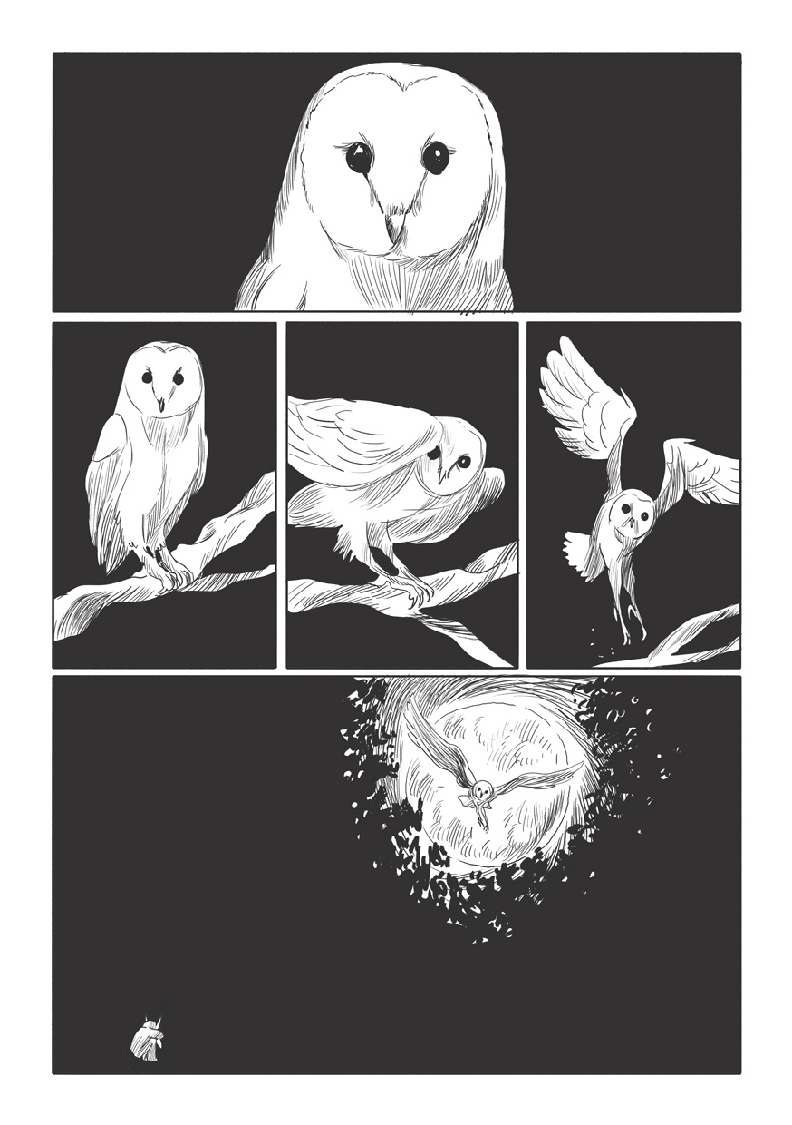 - L'appel de la fureur- page 11