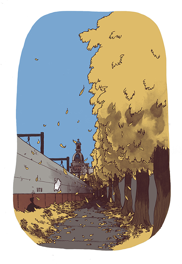 - Des illustrations- page 6