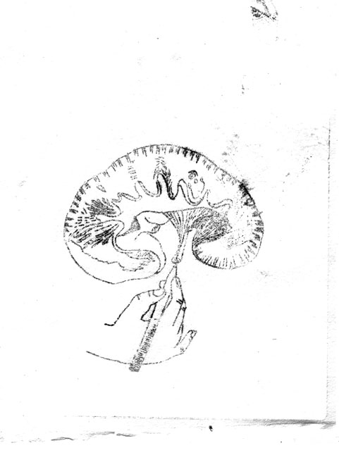 - Amygdal'afi- page 1