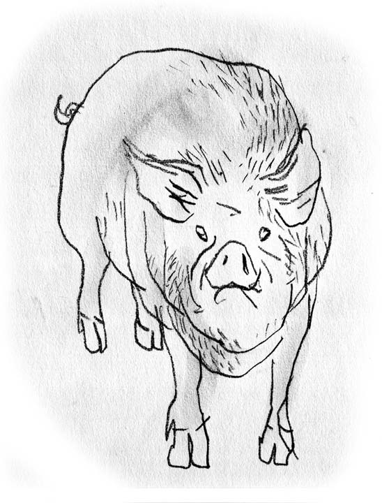 - L'infiltration- page 38