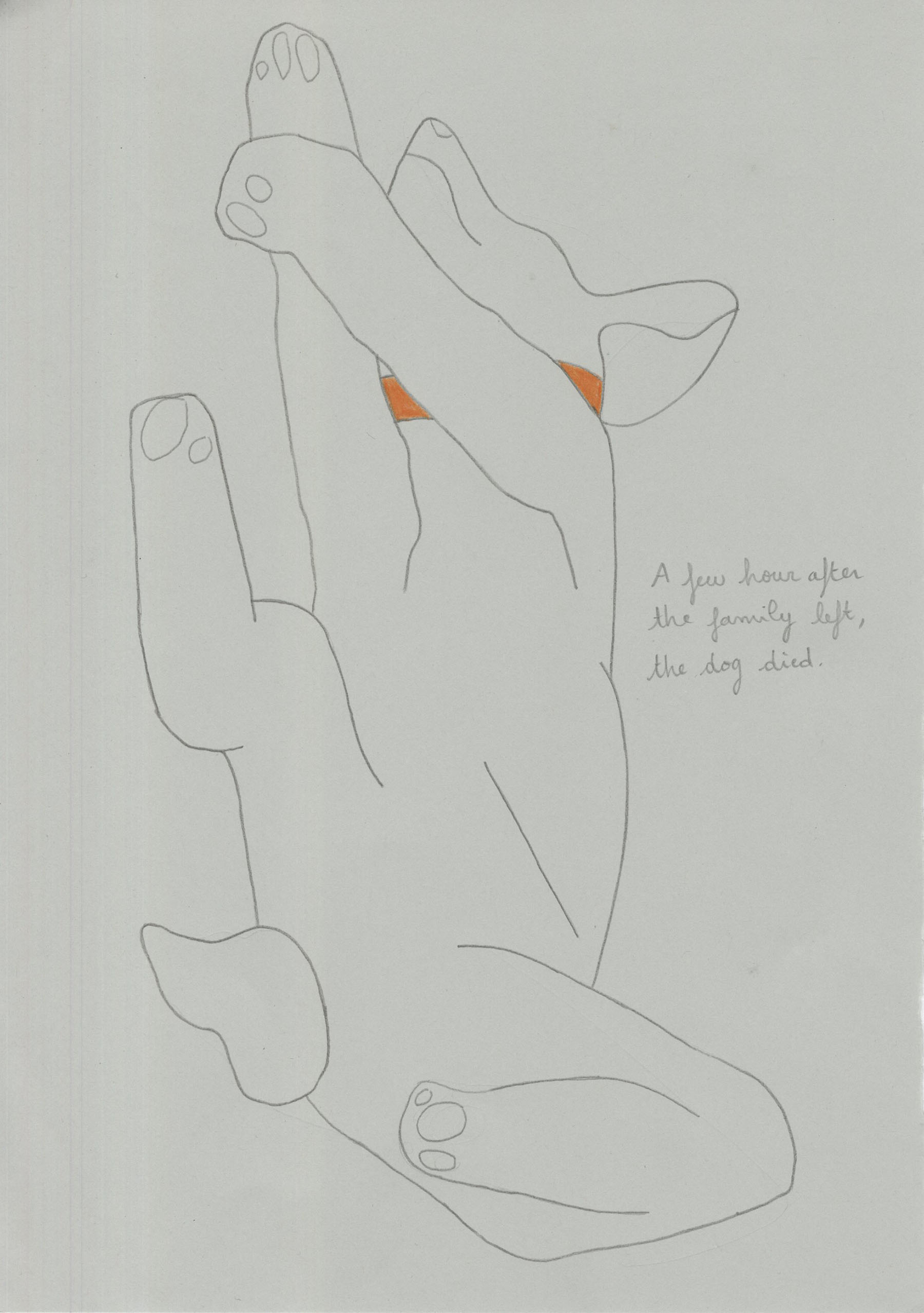 - What's in the suitcase ?- page 5