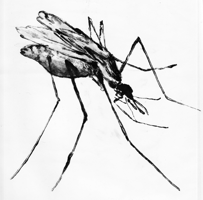 - un poumon, le dessin- page 50