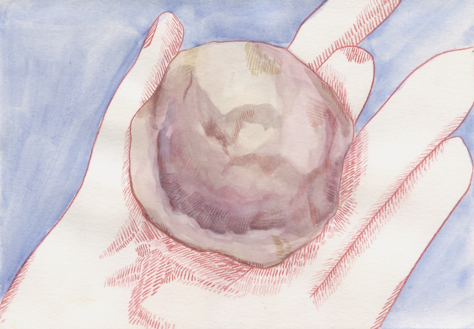 - Mes milliards de coquillages- page 2