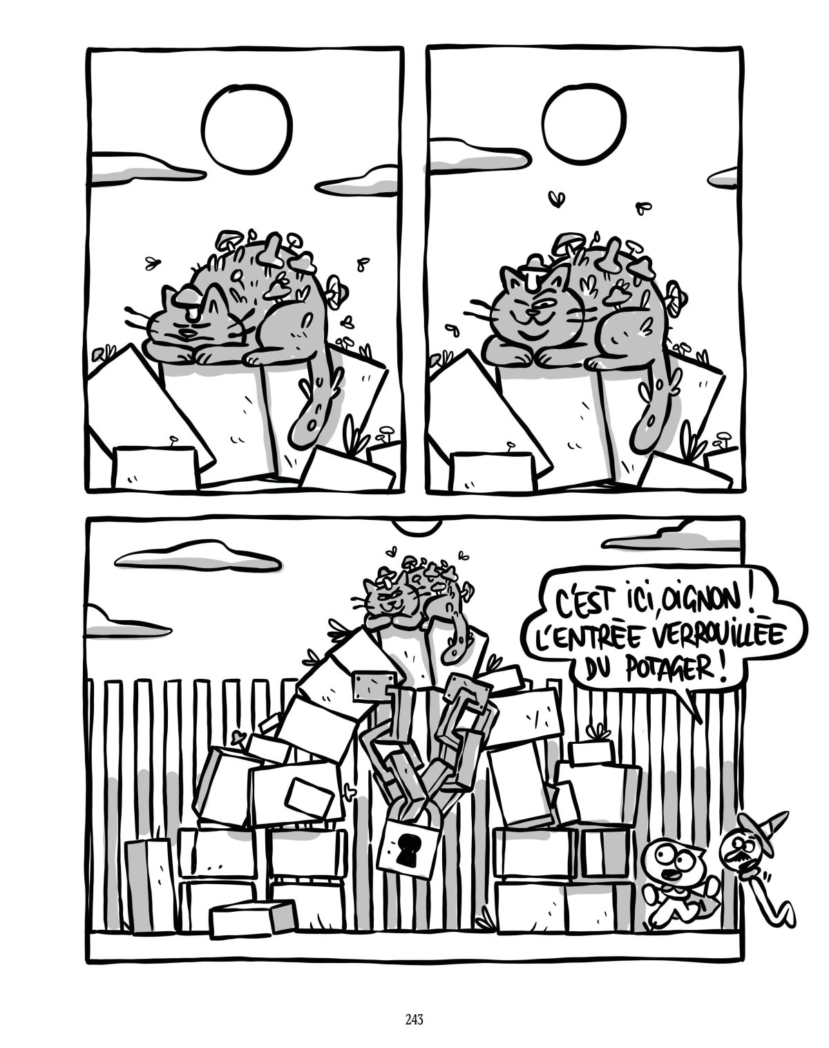 - Oignon, Mage Niveau 1 (dark fantasy)- page 243