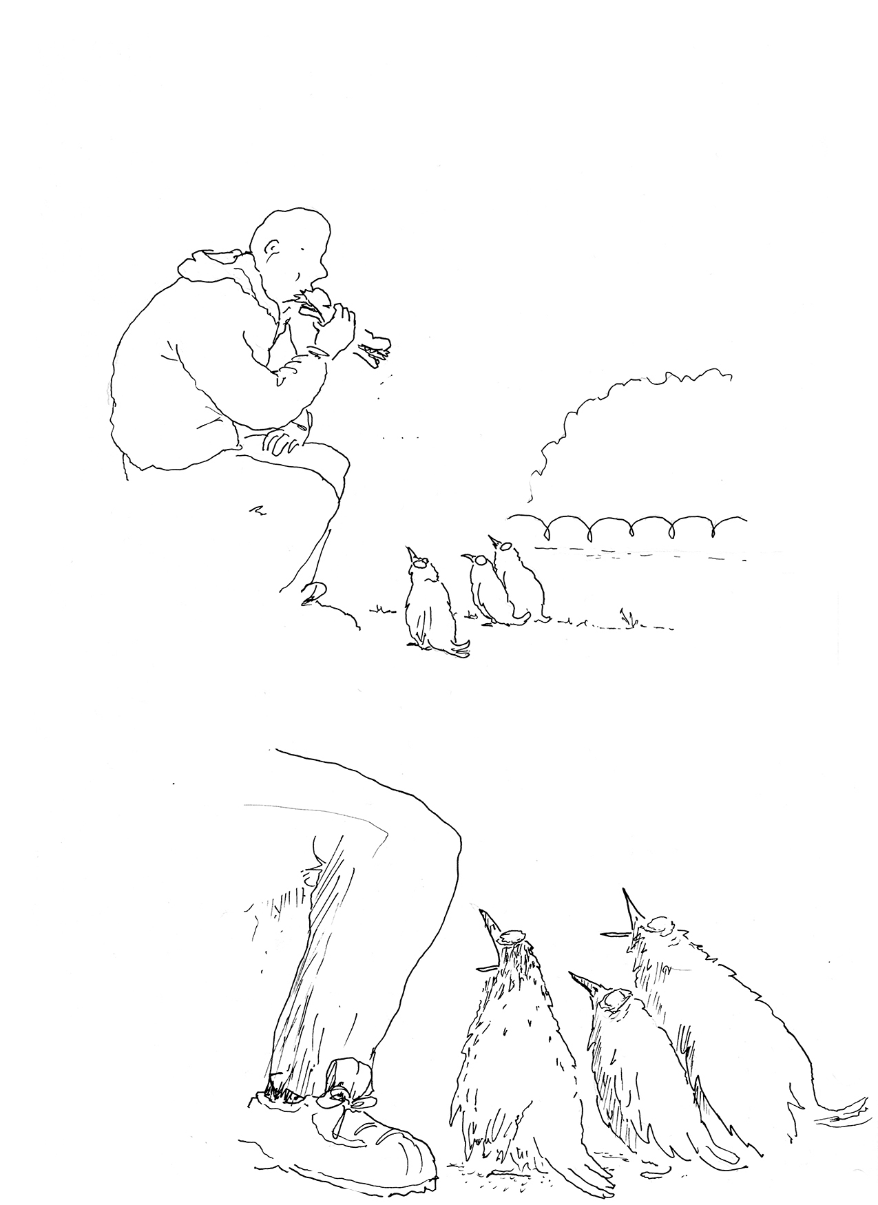 - profil bas- page 9