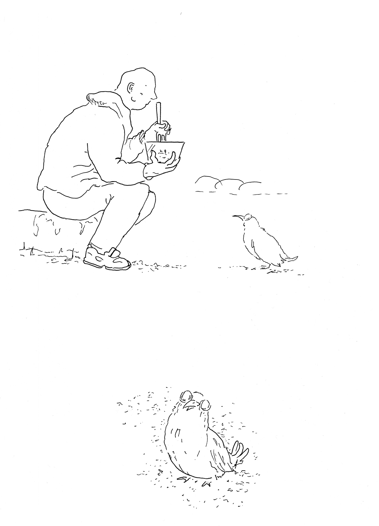 - profil bas- page 13