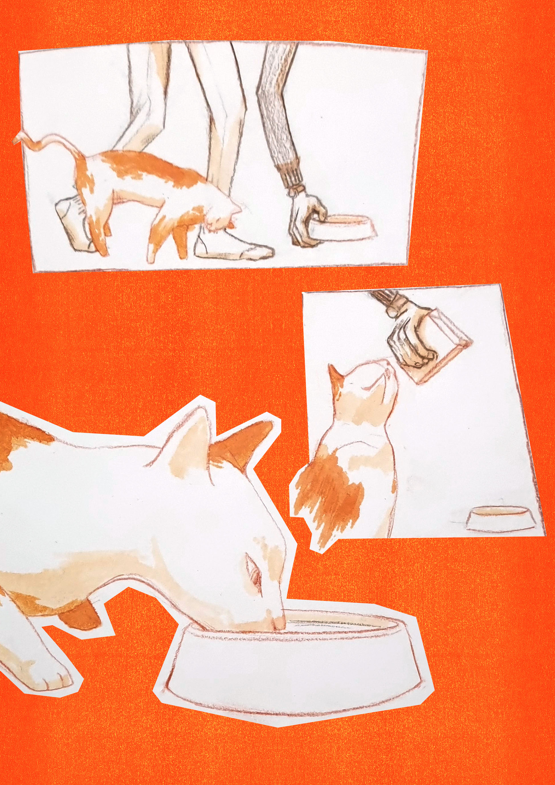 - Prédateurs- page 2